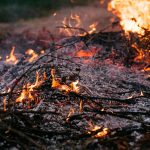 Sustainable Travel Practices Reduce Carbon Footprint Impact