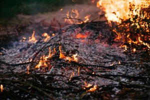 Sustainable Travel Practices Reduce Carbon Footprint Impact