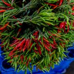 Kitchen Herb Gardens: Growing Fresh Flavors in Smallest Spaces