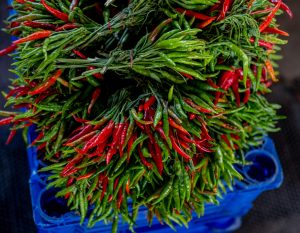 Kitchen Herb Gardens: Growing Fresh Flavors in Smallest Spaces