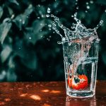 Nature Walks for Mental Clarity
