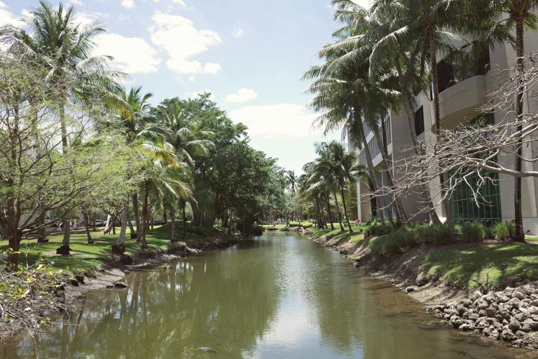 Mindfulness Practices for Academic Excellence