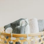 Pet-Friendly Home Design Ideas