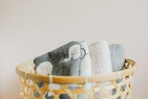 Pet-Friendly Home Design Ideas