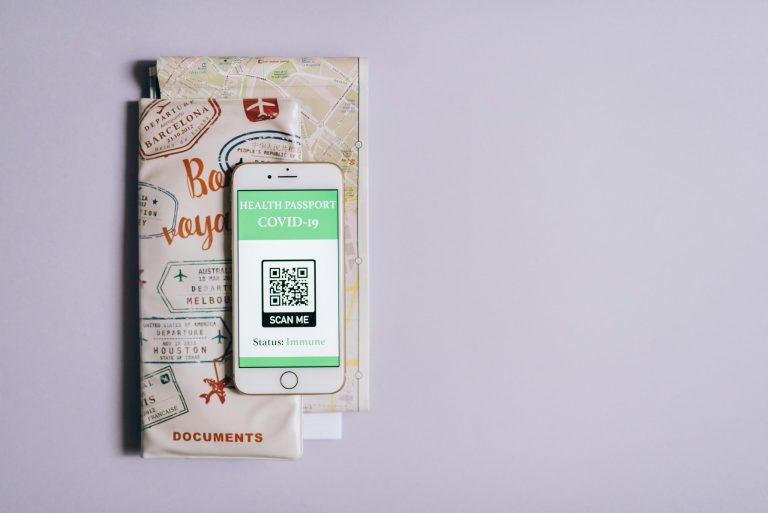 Travel Gear Organization Systems Maximize Luggage Space