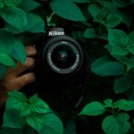 Digital Photography Tips for Capturing Everyday Beauty