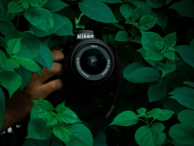 Digital Photography Tips for Capturing Everyday Beauty