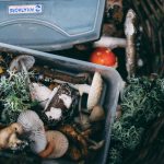 Eco-Friendly Swaps to Reduce Household Waste