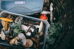 Eco-Friendly Swaps to Reduce Household Waste