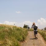 Eco Tourism Impact Measurement Tracks Conservation Success