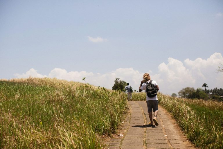 Eco Tourism Impact Measurement Tracks Conservation Success