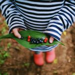Gardening With Kids: Fun and Educational Activities