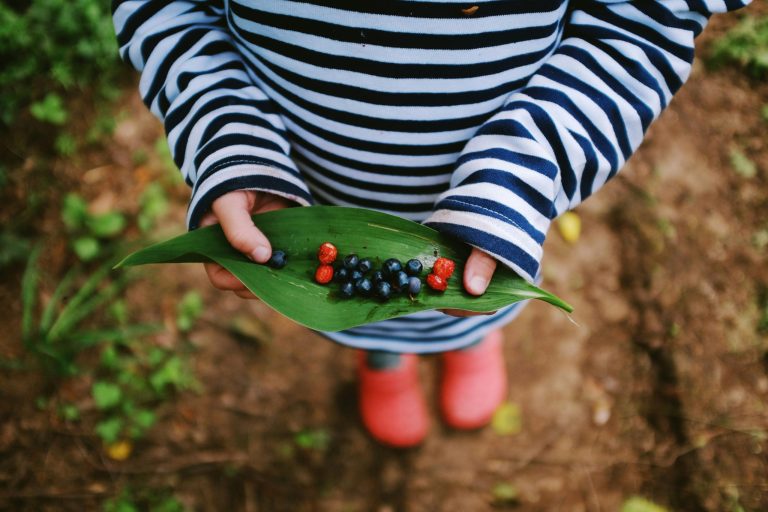 Gardening With Kids: Fun and Educational Activities