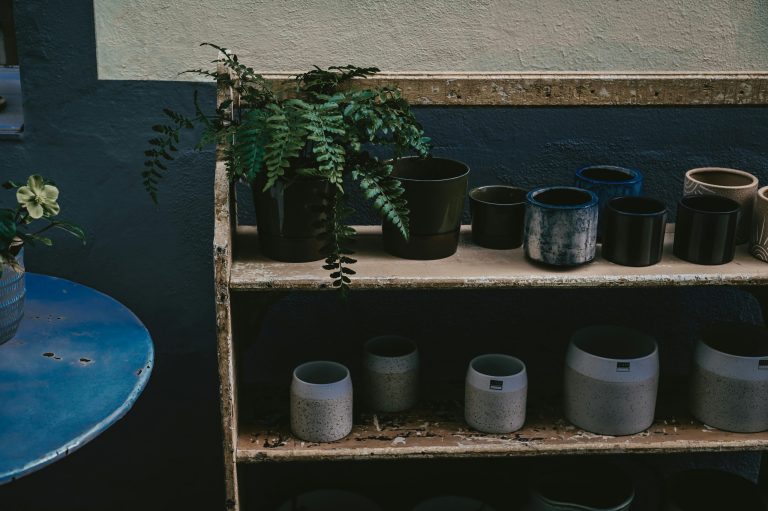 Urban Gardening in Small Spaces